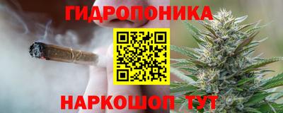 шишки Гусев