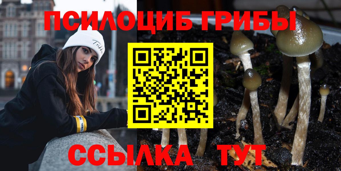 Мариинск  Псилоцибиновые грибы мухоморы  Вход с VPN  Галлюциногенные грибы прущие грибы 